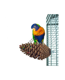 Играчка за Папагали, борова шишарка, 17 x 10,5 см. - Back Zoo Nature
